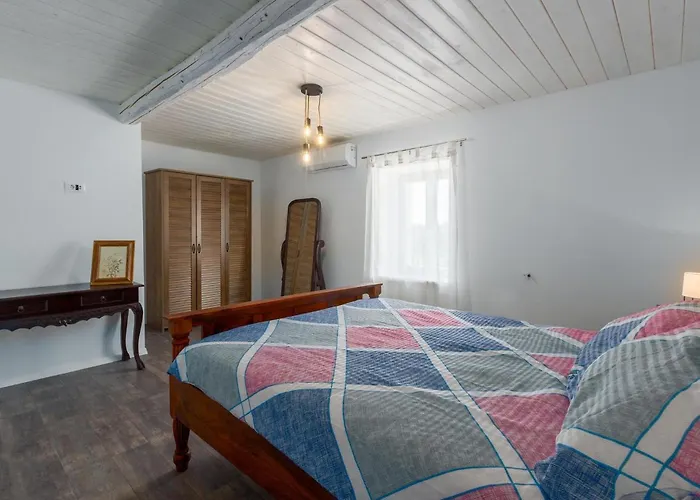 Rosa Kringa * Tinjan